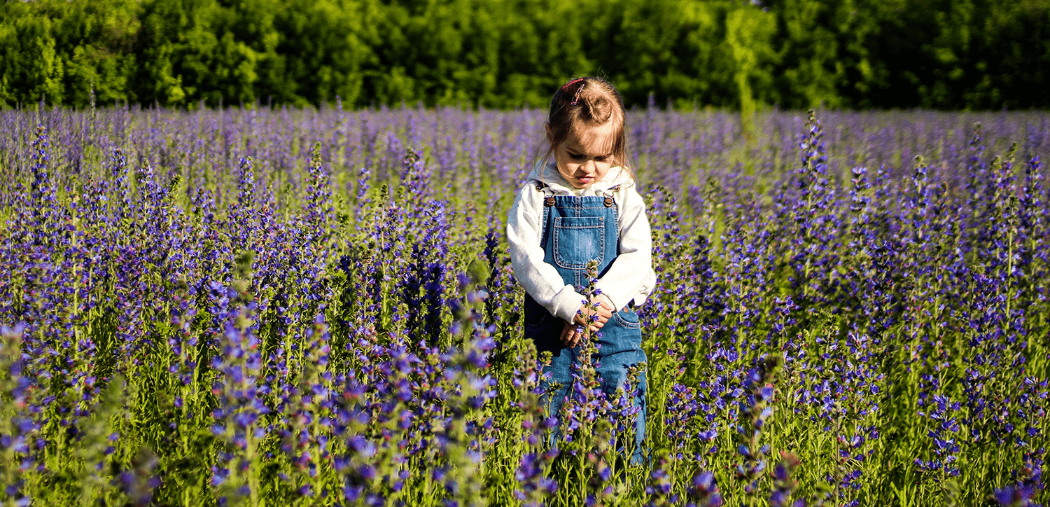 young-girl-in-a-field-of-purple-flowers